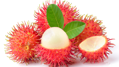 Đồng Nai với những loại trái cây đặc sản vào mùa hè