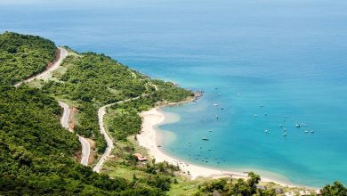 Bán Đảo Sơn Trà Đà Nẵng (Nguồn: mytour.vn)