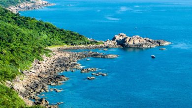 Vẻ đẹp của Ghềnh Ráng Tiên Sa (nguồn: haloquynhontravel.com)