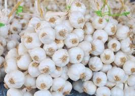 Điểm qua 5 món nên mua tặng người thân khi đến Quảng Ngãi