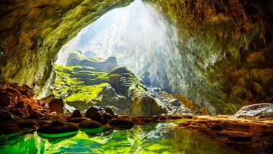Phong nha kẻ bàng