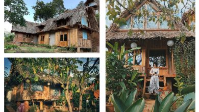 Top 5 Homestay View đẹp ở Đà Lạt nên thử ở 2024
