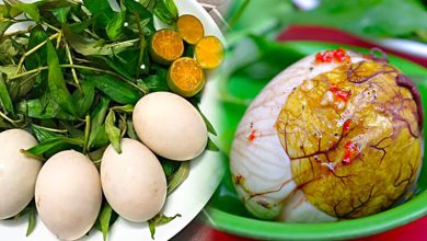 Trứng vịt lộn (Nguồn: shopeefood.vn)