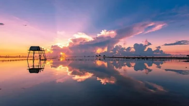 Du Lịch Thái Bình 1 Ngày: Khám Phá Trọn Vẹn Vẻ Đẹp Của “Quê Hương Năm