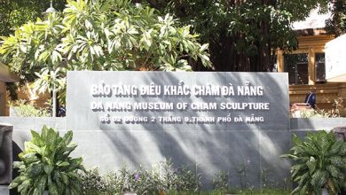 Khám Phá Văn Hóa Chăm Pa Tại Bảo Tàng Điêu Khắc Chăm Đà Nẵng
