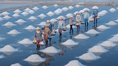 Cánh Đồng Muối Sa Huỳnh - Từ Nắng Gió Biển Cả Đến Hạt Muối Trắng Ngần