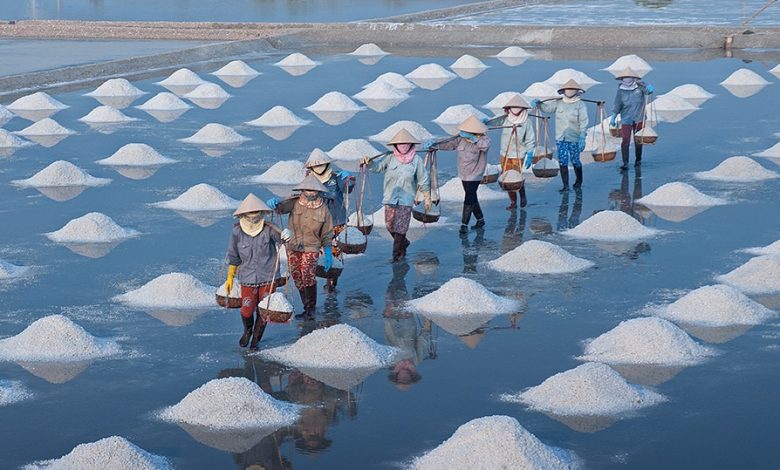 Cánh Đồng Muối Sa Huỳnh - Từ Nắng Gió Biển Cả Đến Hạt Muối Trắng Ngần