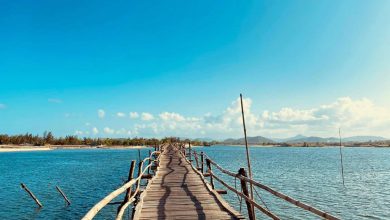 Cầu gỗ Ông Cọp: Chốn thiên đường check-in thơ mộng (Nguồn: zoomtravel)