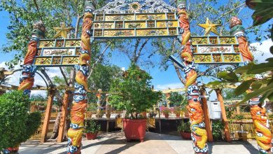 Trải nghiệm khu du lịch sinh thái miền Tây (Nguồn: vntrip.vn)