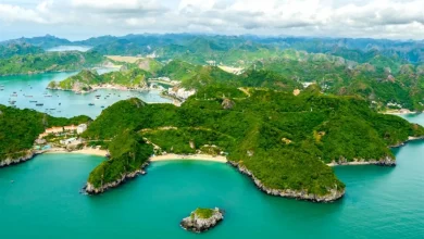 Trọn bộ kinh nghiệm du lịch Đảo Cát Bà không thể chi tiết hơn