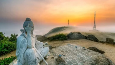 Khám phá đỉnh bàn cờ Sơn Trà