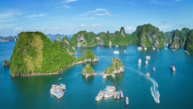 Vịnh Hạ Long: Kỳ Quan Tự Nhiên và Ẩm Thực Đặc Sắc 2024