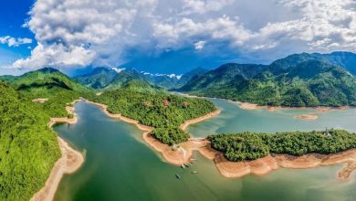 Vẻ Đẹp Hoang Sơ Của Hồ Truồi: Thiên Nhiên Tĩnh Lặng