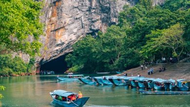 Kinh nghiệm du lịch Phong Nha Kẻ Bàng 2024 siêu chi tiết