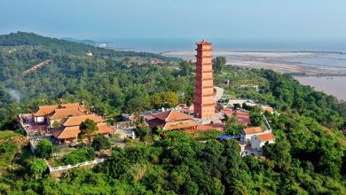 Tháp Tường Long Hải Phòng - di tích lịch sử nghìn năm tuổi