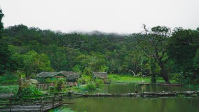 Nhất Lâm Thủy Trang Trà (nguồn: vinwonders.com)
