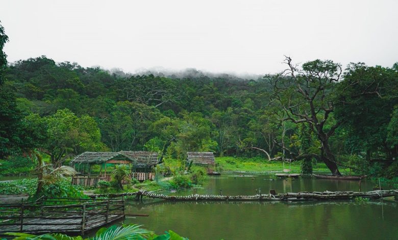 Nhất Lâm Thủy Trang Trà (nguồn: vinwonders.com)