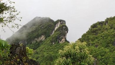 Núi Hàm Rồng: Khám Phá Cảnh Quan Thiên Nhiên Xứ Thanh