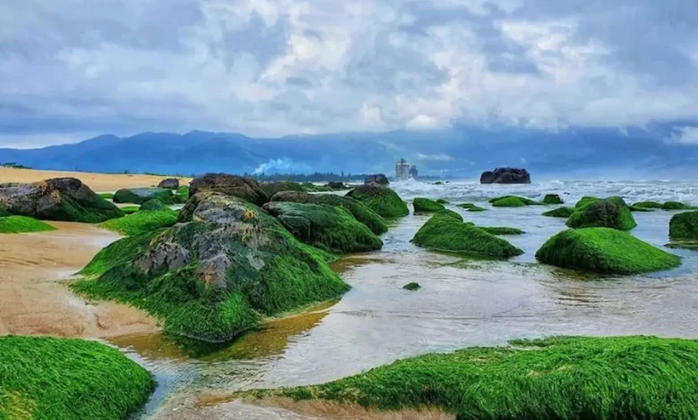 Khám Phá Rạn Nam Ô Đà Nẵng: Viên Ngọc Ẩn Giữa Biển Khơi