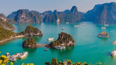 Vịnh Hạ Long với vẻ đẹp thiên nhiên tuyệt vời (Nguồn: mia.vn)