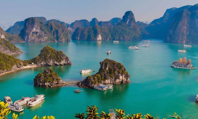 Vịnh Hạ Long với vẻ đẹp thiên nhiên tuyệt vời (Nguồn: mia.vn)
