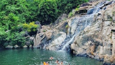 Suối Mơ Đà Nẵng - Lạc Trôi Trong Vẻ Đẹp Thiên Nhiên