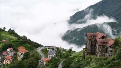 Tam Đảo có gì đẹp? Top 10 địa điểm du lịch đẹp tại Tam Đảo