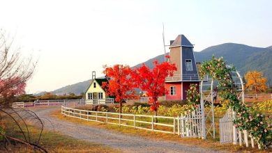 Thuận Phước Field (nguồn: vinpearl.com)