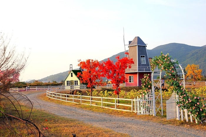 Thuận Phước Field (nguồn: vinpearl.com)