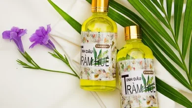 Tinh Dầu Tràm Huế: Tinh Hoa Quý Giá Từ Thiên Nhiên Cố Đô