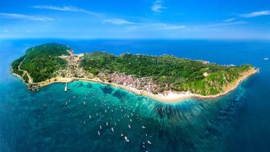 CÙ LAO XANH (nguồn: quynhontourist.com)