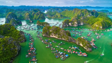 Đảo Cát Bà điểm du lịch nỗi tiếng ở Hải Phòng 2024 (nguồn:vfs.vn)