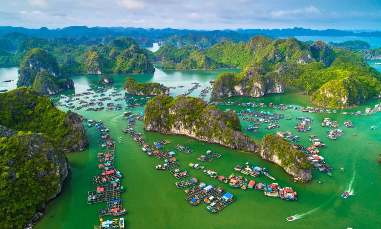 Đảo Cát Bà điểm du lịch nỗi tiếng ở Hải Phòng 2024 (nguồn:vfs.vn)