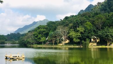 Bảng giá vé tham quan vườn quốc gia Cúc Phương Ninh Bình 2023