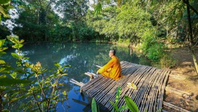 Khám phá Sơn Trà Tịnh Viên