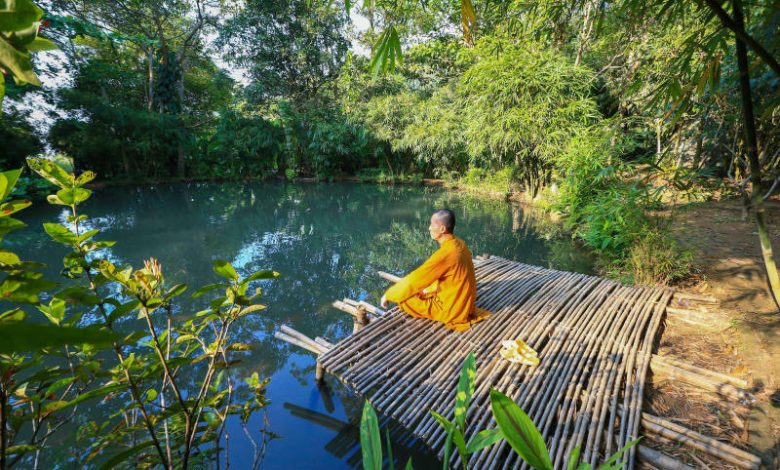Khám phá Sơn Trà Tịnh Viên