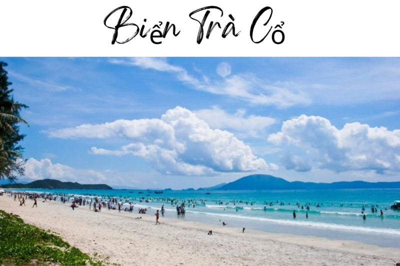 Hình ảnh bãi biển trà cô