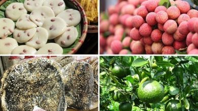 Đặc sản Bắc Giang