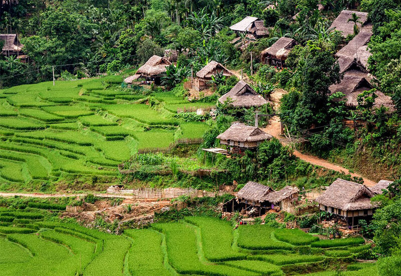 HÌnh ảnh Bản làng của người Thái 