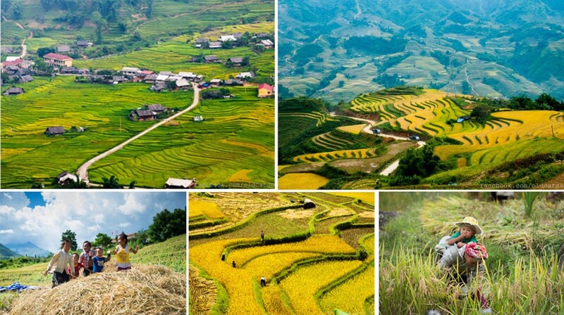 Hình ảnh Hành trình trekking khám phá Tây Bắc