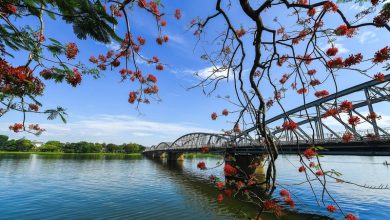 Cùng vietnamtoplist khám phá vẻ đẹp đầy thơ mộng và cổ kính của thành phố này thông qua hình ảnh thành phố Huế nhé!