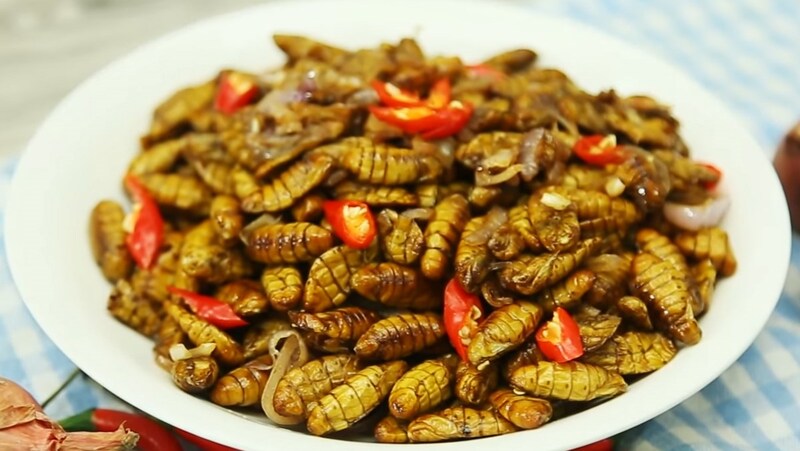 Hình ảnh Nhộng ong rừng