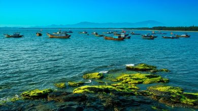 Hình ảnh Quảng Nam