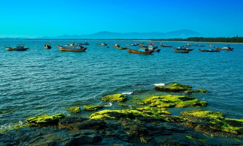 Hình ảnh Quảng Nam