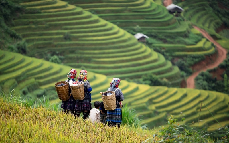 Hình ảnh Tây Bắc