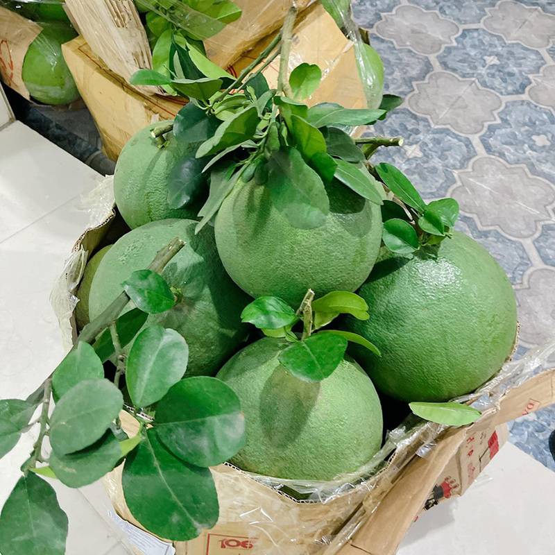 Hình ảnh bưởi da xanh