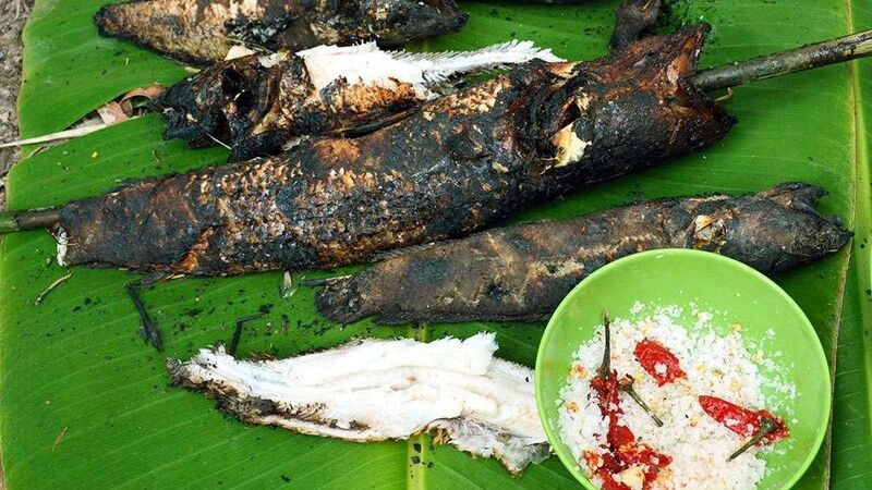 Hình ảnh cá lóc nướng trui