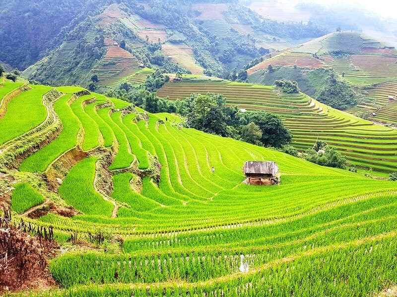 Hình ảnh không khí Tây Bắc