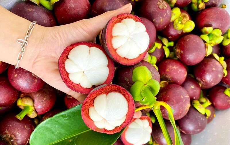 Hình ảnh măng cụt Tây Nguyên