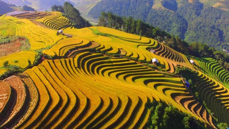 Hình ảnh mùa hạ Tây Bắc